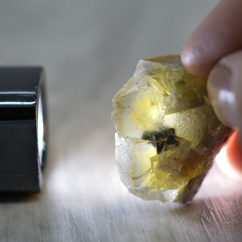 Cube de galène emprisonné dans sa fluorite jaune