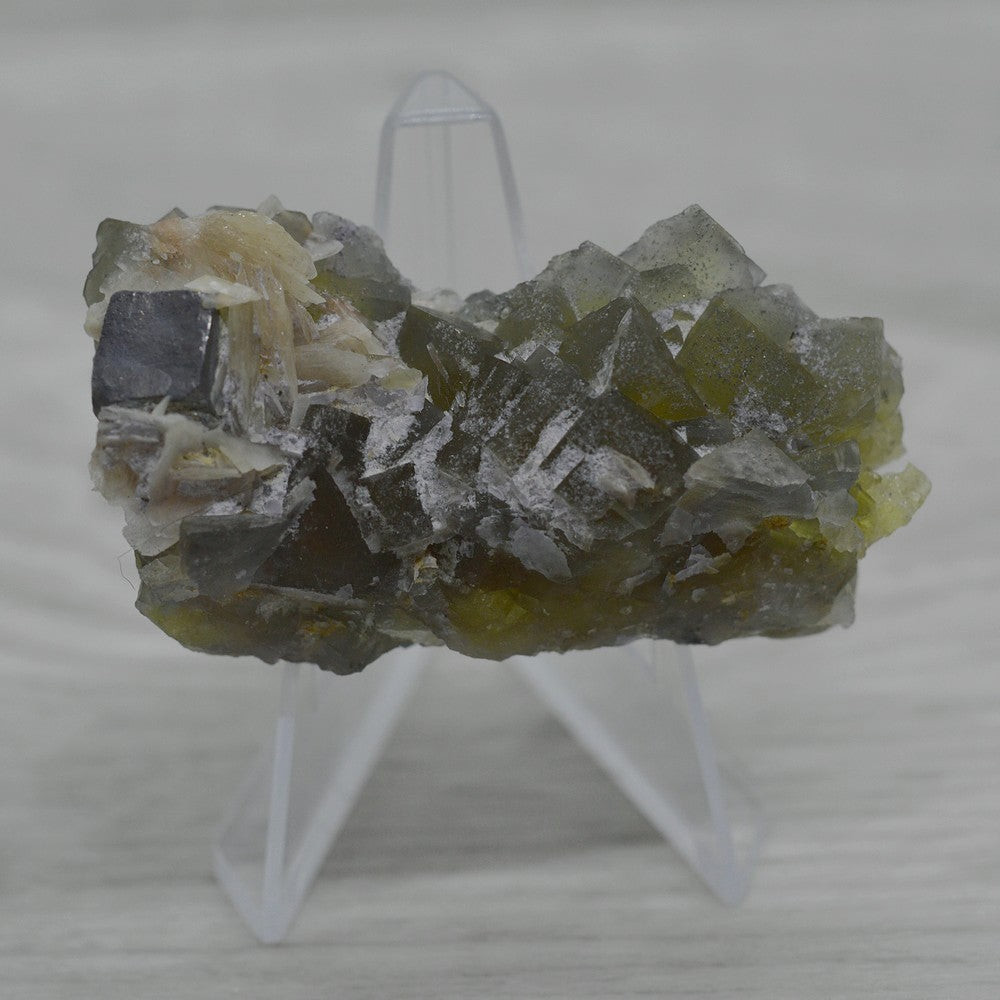 Fluorite jaune verte avec galène et baryte 62g sur présentoir 