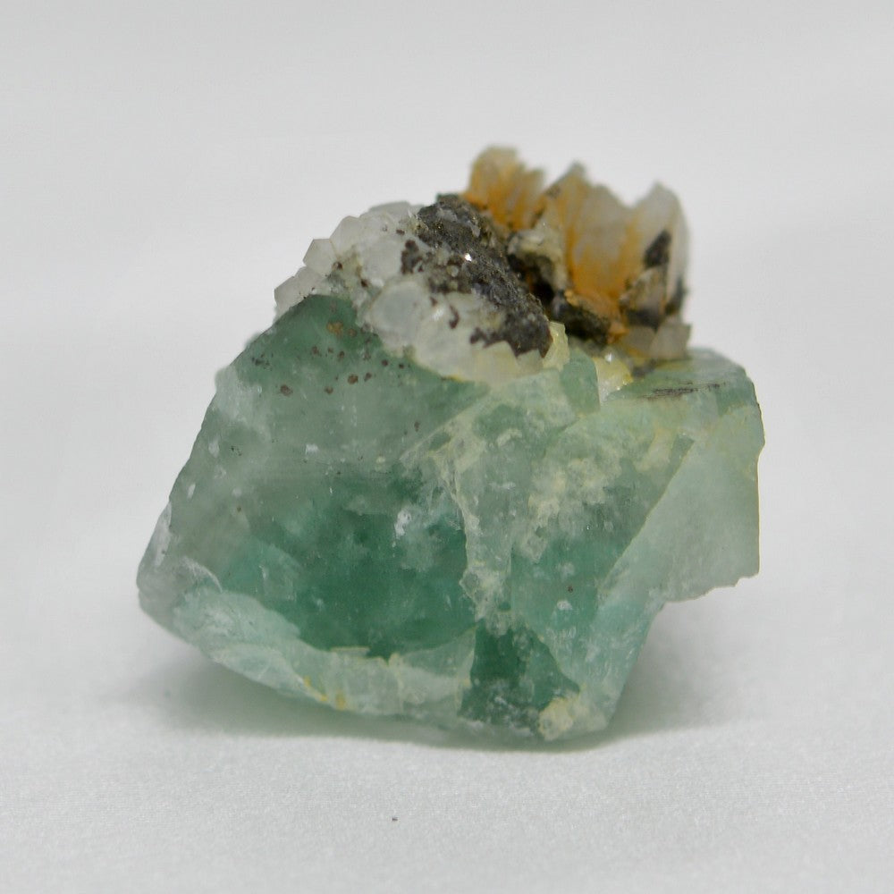 Fluorine vert d'eau et minéraux marocains de 36g