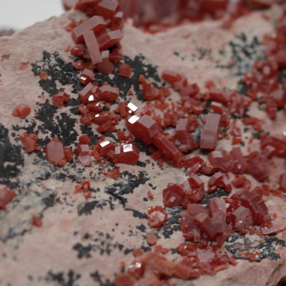 Petits cristaux rouges de vanadinite sur matrice beige 128g