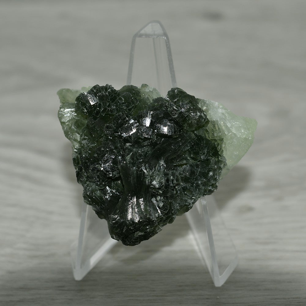 Prehnite verte nuancée à cristal nœud papillon du Maroc de 40g