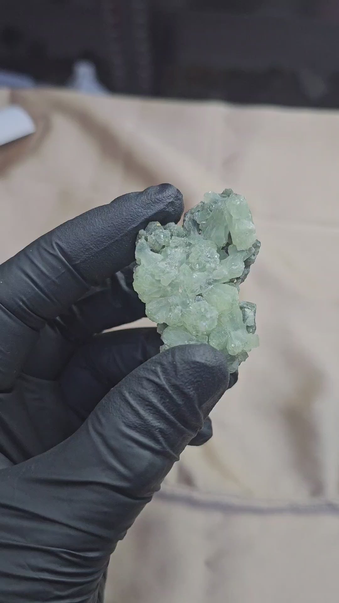 Prehnite verte claire à inclusion de byssolite 43g du Maroc
