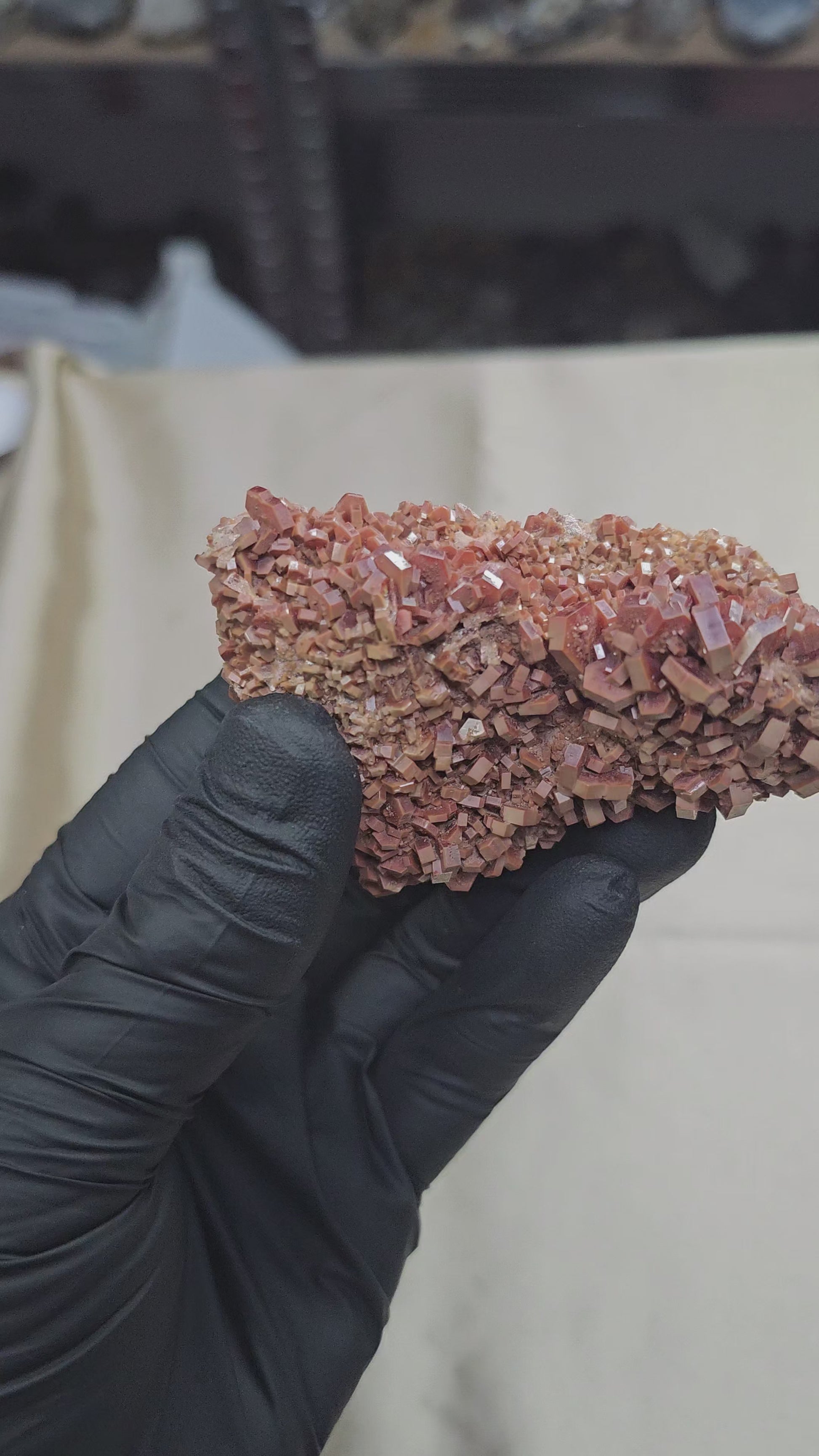 Vanadinite rouge et brune à cristaux hexagonaux de 202 de Mibladen au Maroc