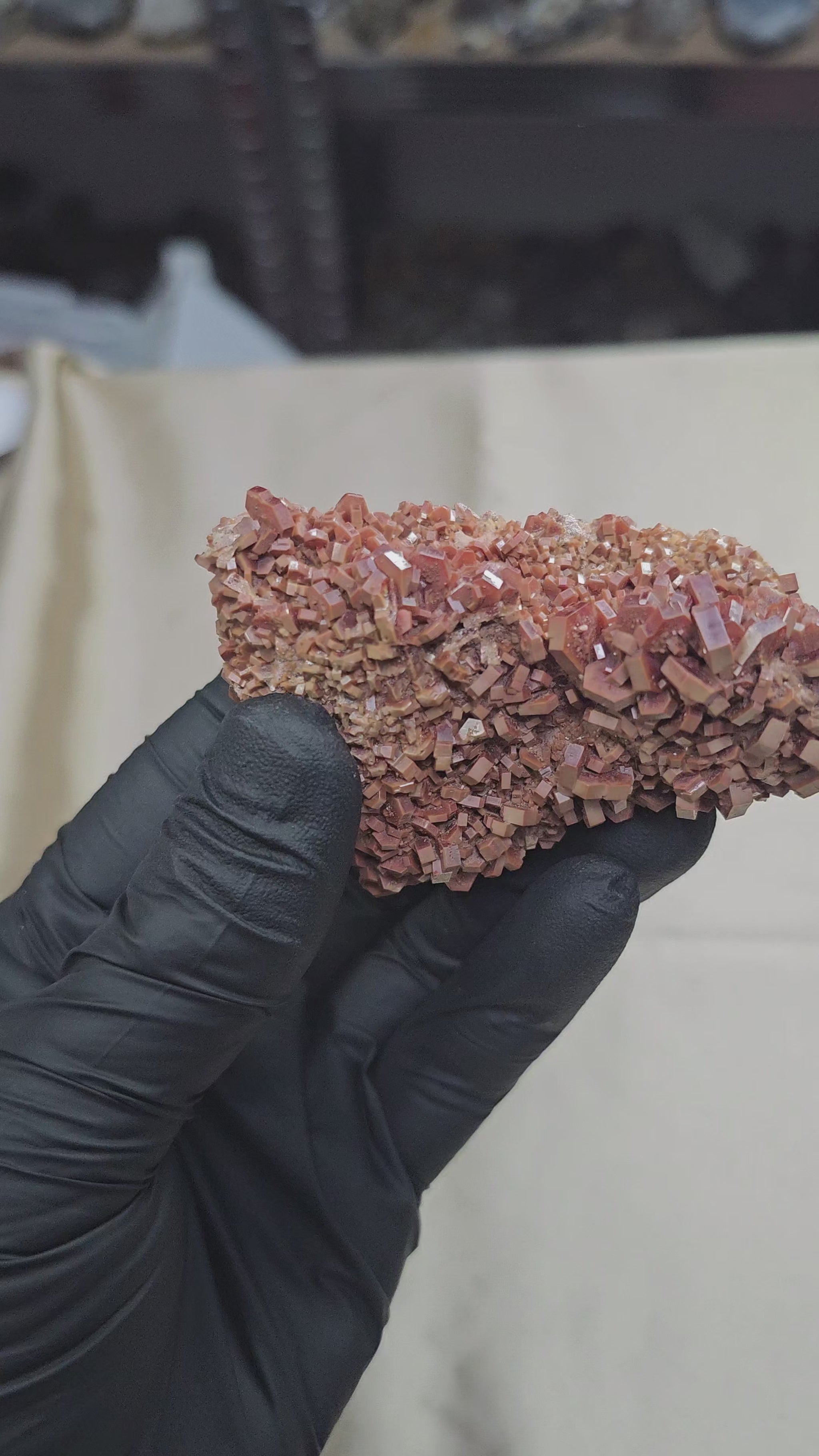 Vanadinite rouge et brune à cristaux hexagonaux de 202 de Mibladen au Maroc