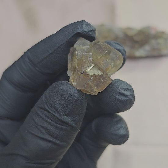 Fluorite jaune maclée et zonée d'un joli bleu translucide sous lumière en provenance du Maroc de 16g