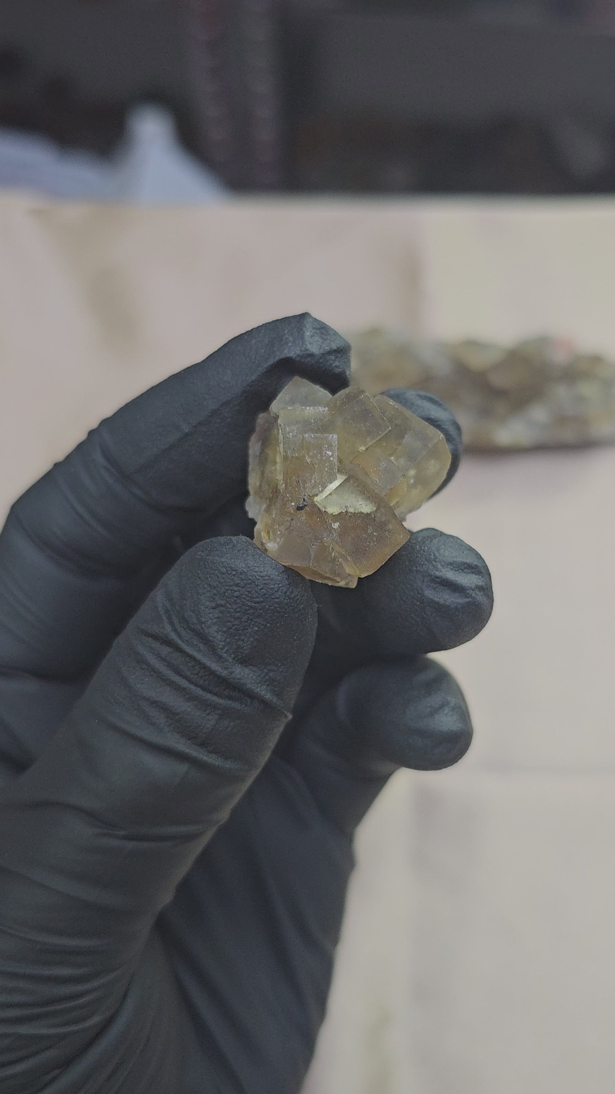 Fluorite jaune maclée et zonée d'un joli bleu translucide sous lumière en provenance du Maroc de 16g