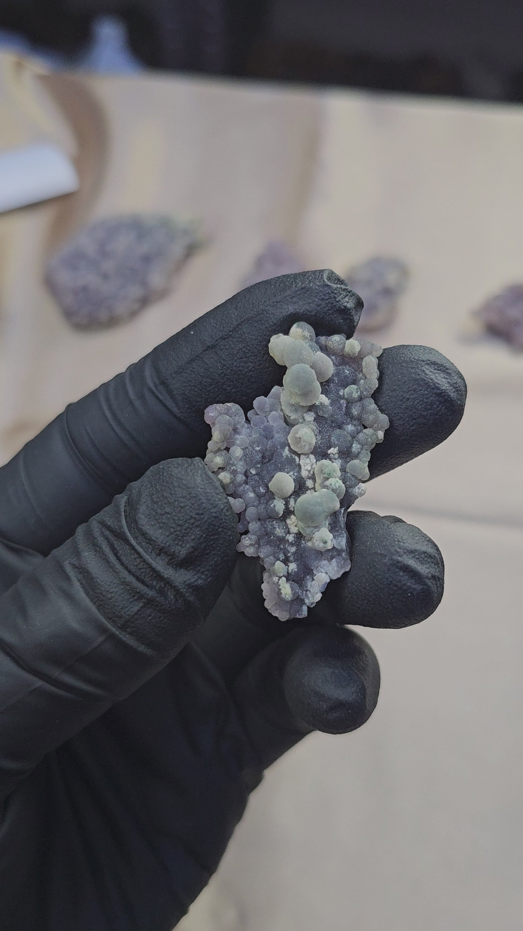 Calcédoine botryoïde grappe de raisin verte et violette de 8 de l'île de Sulawesi en Indonésie